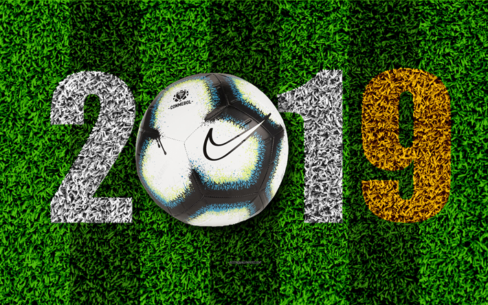2019年のコパ-アメリカ, ブラジル2019年, サッカー選手権大会, 南米, コパ-アメリカ2019年ブラジル, セ, 概念, サッカー