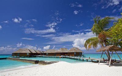 Ver&#227;o, mar, Maldivas, bungalows, praia, palmas, ilhas tropicais