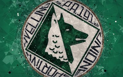 US Avellino 1912, 4k, logo, geometric art, Serie B, green abstract background, creative art, emblem, Italian football club, Avellino, Italy, football, Avellino FC