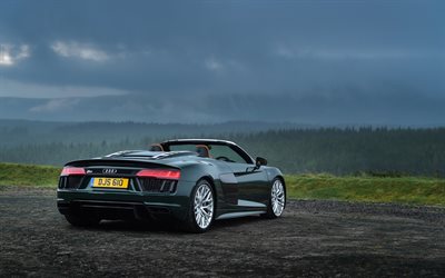 Audi R8 Spyder Plus, 2018, rear view, green supercar, roadster, green sports coupe, cabriolet, dark green R8, German sports cars, Audi