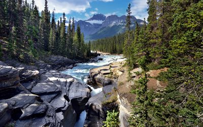mountain river, rocks, forest, summer, mountain landscape, environment, ecology