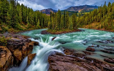 Sunwapta Falls, forest, canadian landmarks, Sunwapta River, Jasper National Park, Alberta, Canada