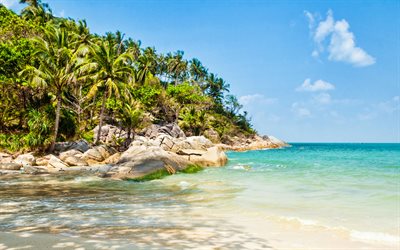 Ko Pha-ngan, tropical island, Thailand island, Gulf of Thailand, palm trees, seascape, blue lagoon, Surat Thani Province, Thailand