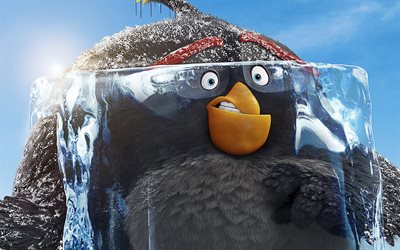 bombe, die angry birds-film 2, 2019-film, 3d-animation, angry birds 2, grauer vogel