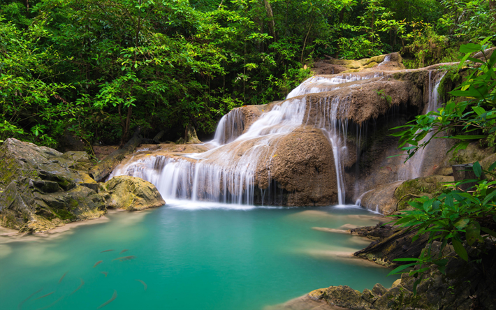 waterfall, rainforest, Thailand, jungle, blue lake, koi carps, goldfish, beautiful waterfalls