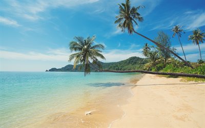 tropik ada, su &#252;zerinde yaz, plaj, palmiye ağa&#231;ları, deniz, yaz, Seyahat, cennet