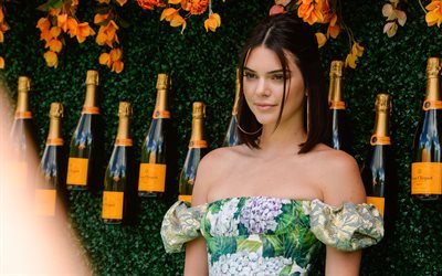Kendall Jenner, En 2017, &#224; Hollywood, l&#39;actrice am&#233;ricaine, beaut&#233;