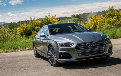 les voitures de luxe, Audi A5 Sportback, en 2017, voitures, gris a5, voitures allemandes, Audi