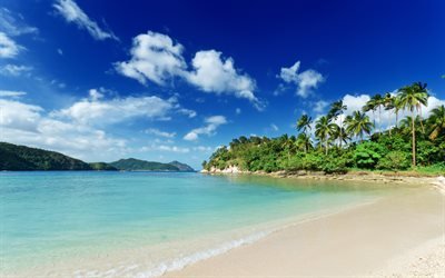 Tropical island, summer, ocean, beach, palm trees, summer vacation, blue sky