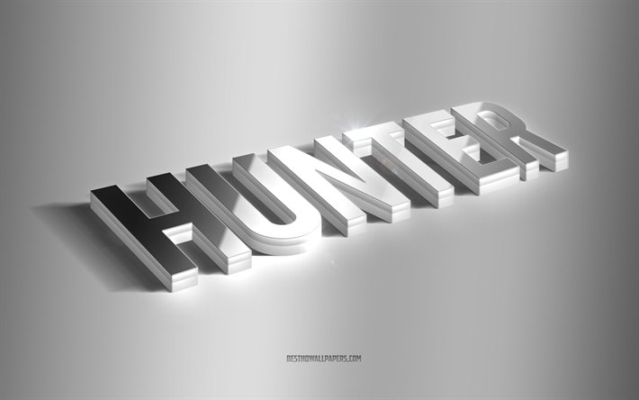 Hunter, arte 3d prata, fundo cinza, pap&#233;is de parede com nomes, nome do Hunter, cart&#227;o de sauda&#231;&#227;o do Hunter, arte 3D, imagem com o nome do Hunter