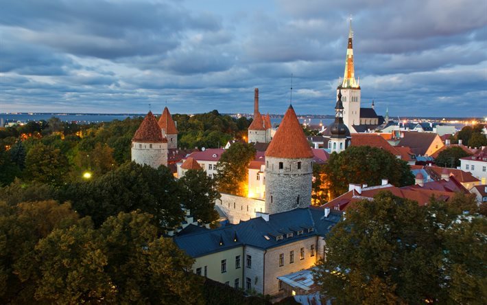 ciudad, techo, casas, tallin, la noche, capital, estonia, edificio