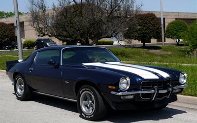 retro, 1973, muscle car, coupe, chevrolet camaro, z28, chevrolet