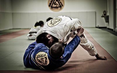 martial arts, san diego, jiu-jitsu, sport, tatami