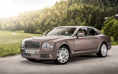 luxus, mulsanne, bentley, farbe arabica, 2017, premium, limousine