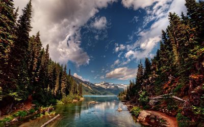 mountain lake, berg, skogen, bergslandskapet, vacker natur, sj&#246;n