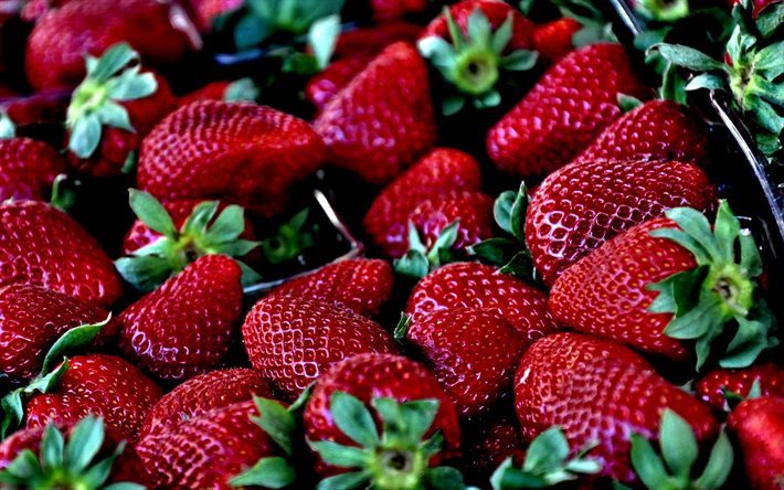 morango, bagas, frutas, macro, morangos