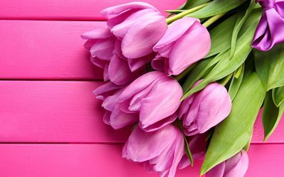 春, 板, 花束, ピンクのチューリップ, 花, チューリップ