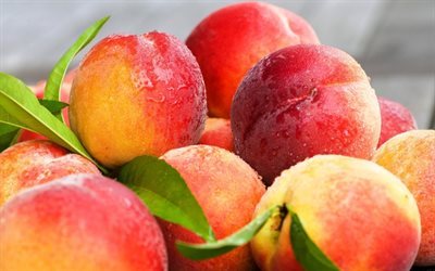 sommar, persikor, frukt, daggdroppar
