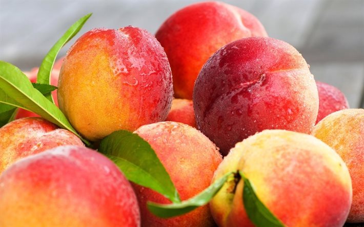 summer, peaches, fruit, dew drops