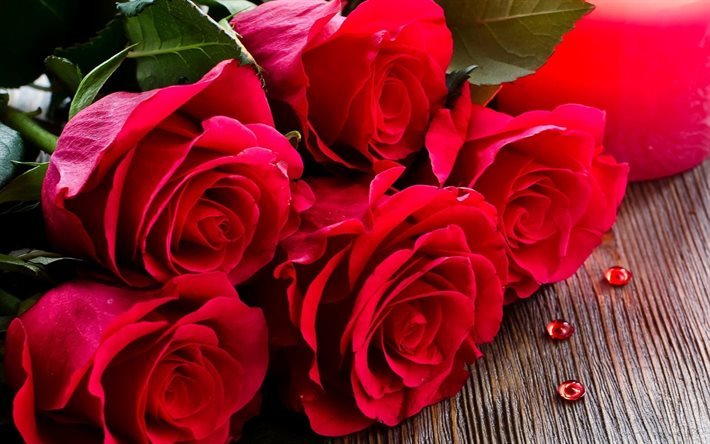 bouquet, les roses rouges, bourgeons