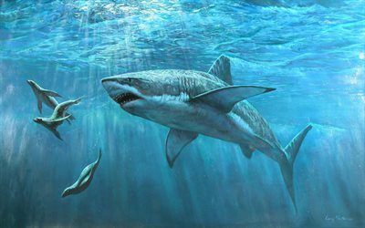 mundo submarino, sellos, tibur&#243;n blanco, los tiburones