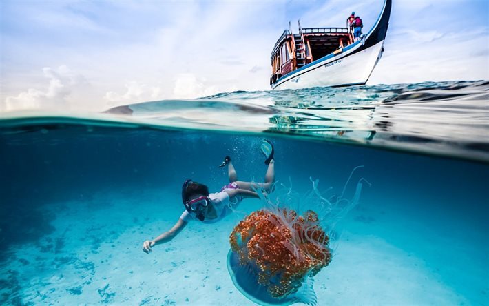 bateau, fille plongeur, medusa, mer, monde sous-marin, la plong&#233;e