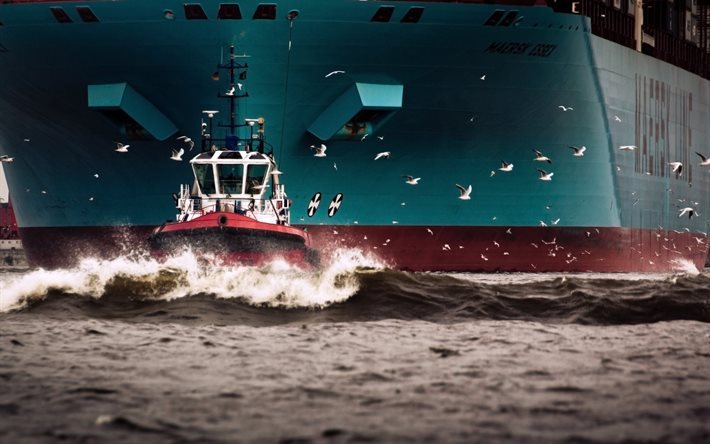 seagulls, a container ship, maersk essex, port, tug, maersk line