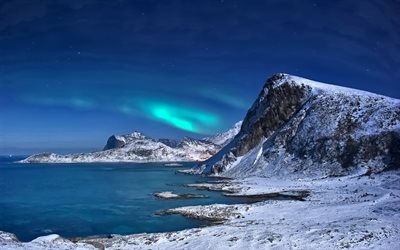 norway, northern lights, coast, night, lofoten islands, winter