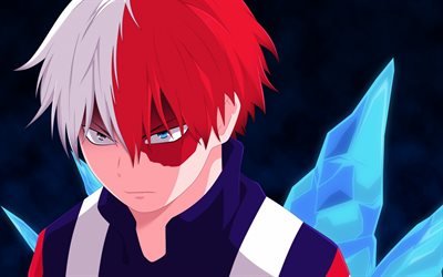 Boku no Hero Academia, Todoroki, Manga, animated series