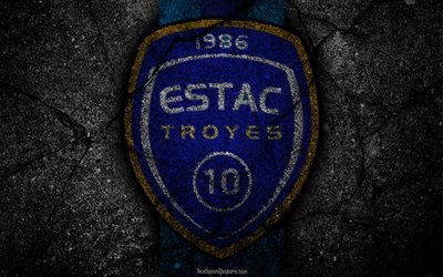 Troyes, logo, art, Liga 1, soccer, Troyes AC, football club, Ligue 1, grunge, FC Troyes