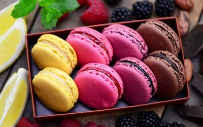 Macaroons, sweet cakes, biscuits, pastries, dessert, colorful biscuits