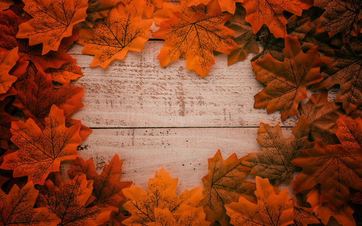 yellow autumn leaves, wooden background, autumn concepts, frame from autumn leaves