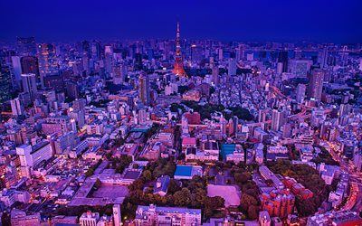 Tokio, por la noche, vista desde arriba, la metr&#243;poli Japonesa, paisaje urbano, Jap&#243;n, panorama de la ciudad