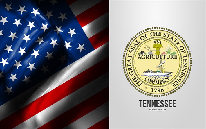siegel von tennessee, usa-flagge, tennessee-emblem, wappen von tennessee, abzeichen von tennessee, amerikanische flagge, tennessee, usa