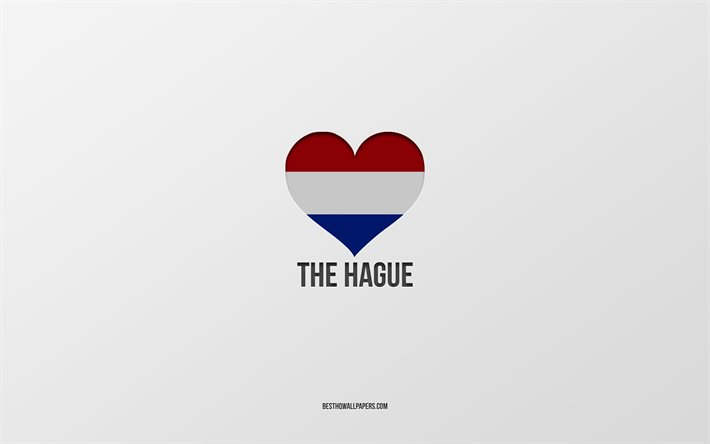 I Love Haia, cidades holandesas, Dia de Haia, fundo cinza, Haia, Holanda, cora&#231;&#227;o da bandeira holandesa, cidades favoritas, Amor Haia