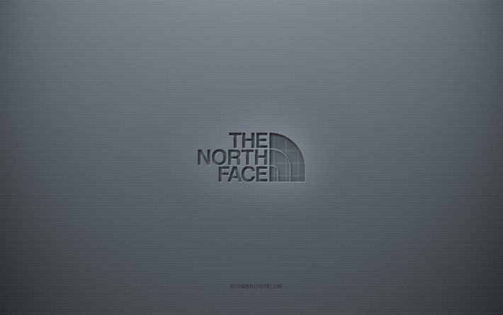 The North Face -logotyp, gr&#229; kreativ bakgrund, The North Face -emblem, gr&#229;tt papper, The North Face, gr&#229; bakgrund, The North Face 3d -logotyp