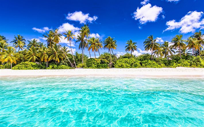 viagem de ver&#227;o, mar, para&#237;so, palmeiras, bela natureza, conceitos de viagem, Maldivas