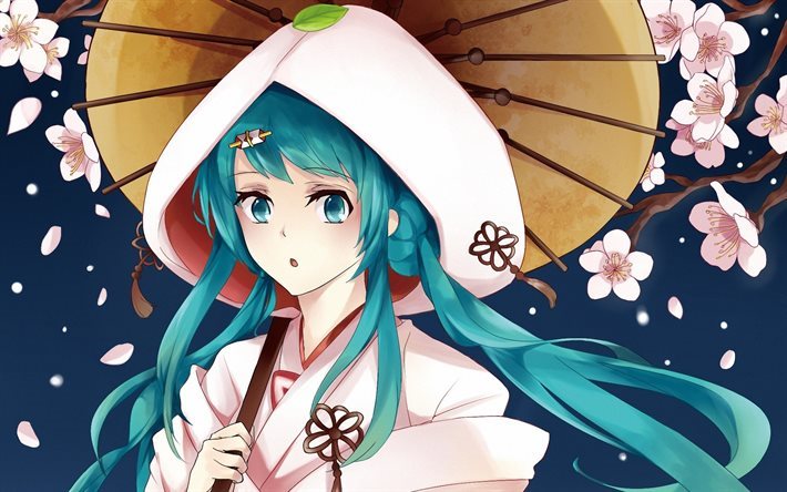 Hatsune Miku, Vocaloid, sakura, sateenvarjo