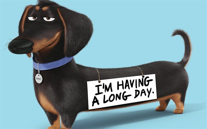 Buddy, dogs, 3d-animation, The Secret Life Of Pets
