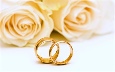düğün altın yüzük, beyaz güller, düğün, düğün takı, düğün konseptleri