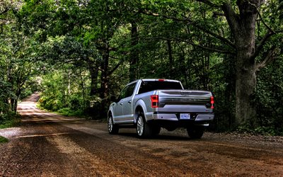 Ford F-150, SUVs, 2018 cars, forest, pickup, offroad, Ford