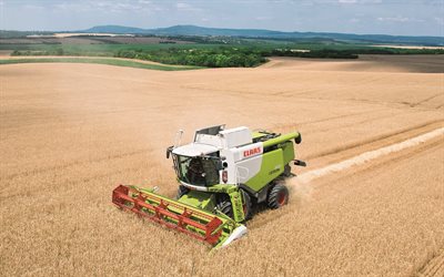 Claas Lexion630, 融合, 収穫, 農業機械, 小麦, Claas
