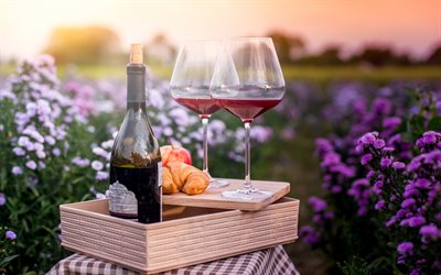 ガラスの赤ワイン, 畑, ピクニック, 成長, 赤ワイン, ブドウ