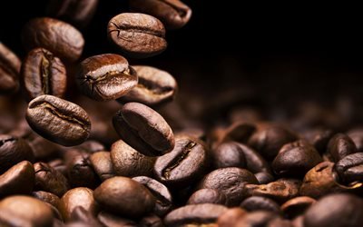 Kaffebönor, bakgrund med kaffe, fallande kaffekorn, kaffekoncept, kaffebakgrund