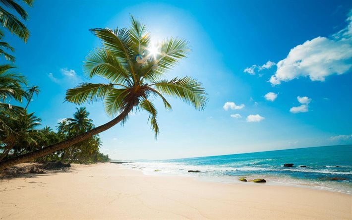 praia, ilha tropical, oceano, palmeiras, areia, ver&#227;o