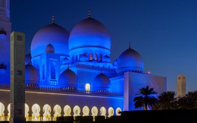 Sheikh Zayed Mosque, Abu Dhabi, UAE, night, mosque, United Arab Emirates
