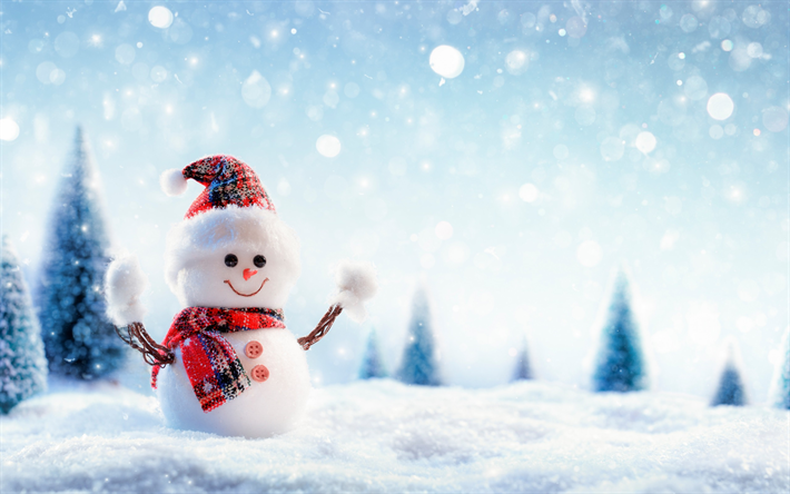 snowman, winter, figurines, snow, winter landscape