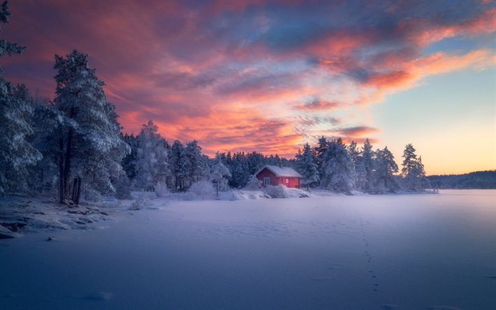 vinterlandskap, skogen, sn&#246;, vinter, sunset, Ringerike, Norge