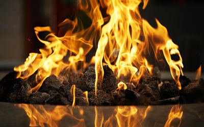 火, 炎, 石炭, 暖炉, 勢の炎