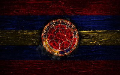 Colombia national football team, fire logo, flag colors, South America, wooden texture, soccer, Colombia, logo, South American national teams, Colombian football team